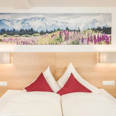 Leitnerhof Guest house Ramsau im Zillertal