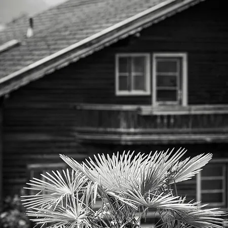 Leitnerhof Guest house 3*