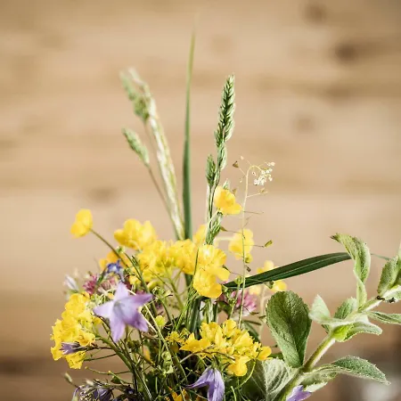 Gæstehus Leitnerhof 3*