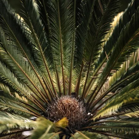 Leitnerhof 招待所 3*