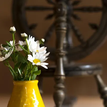 招待所 Leitnerhof 齐勒河谷的拉姆绍