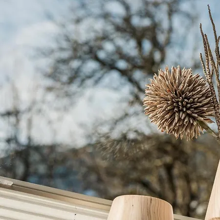 Leitnerhof 齐勒河谷的拉姆绍